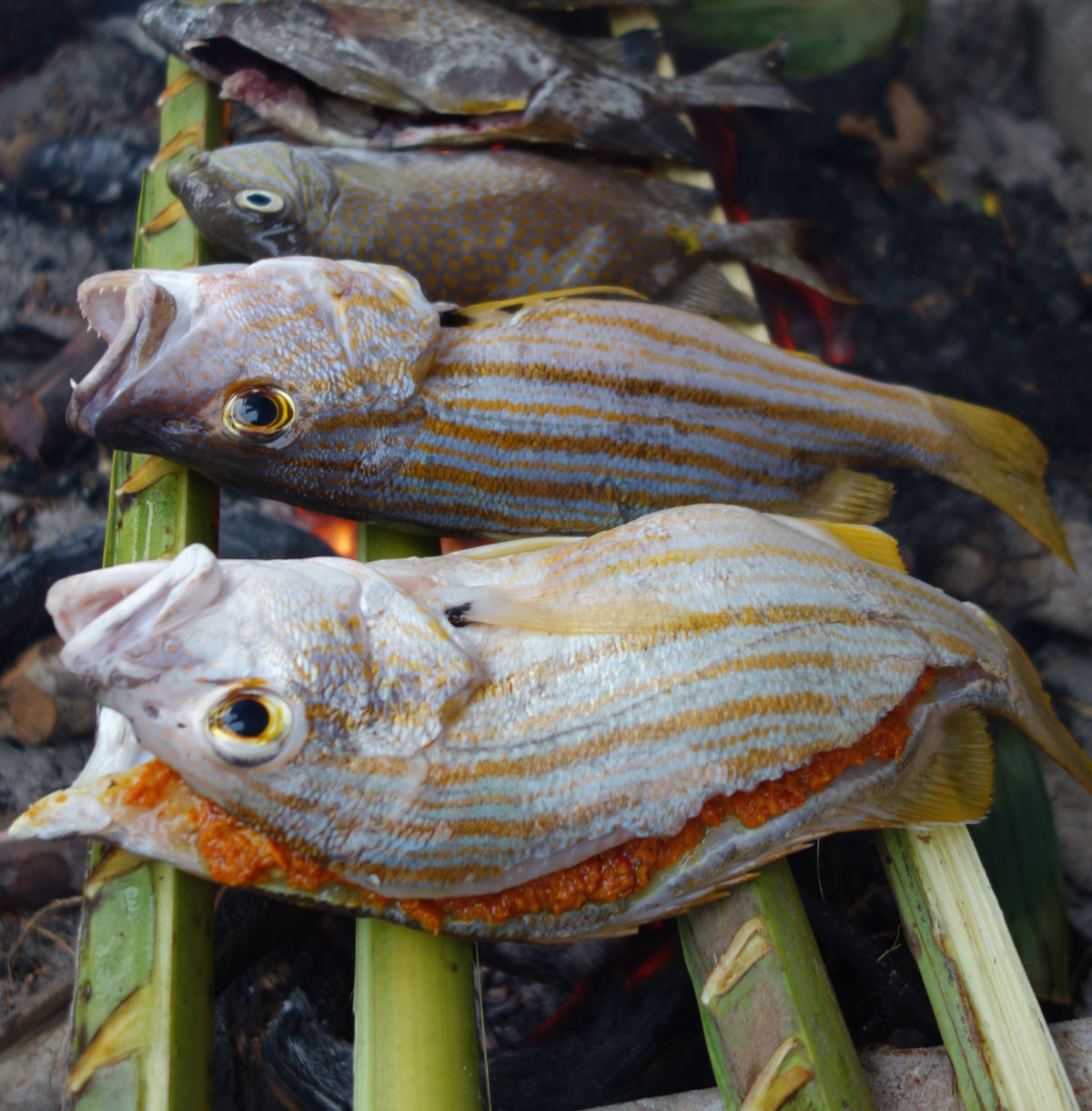 BBQ de poissons frais en Indonésie